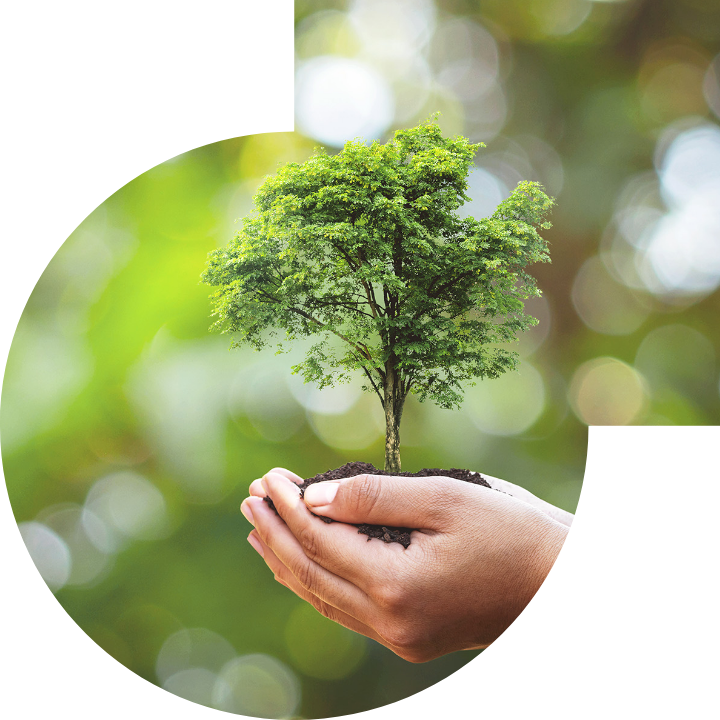 关怀人类、文化、环境与社会